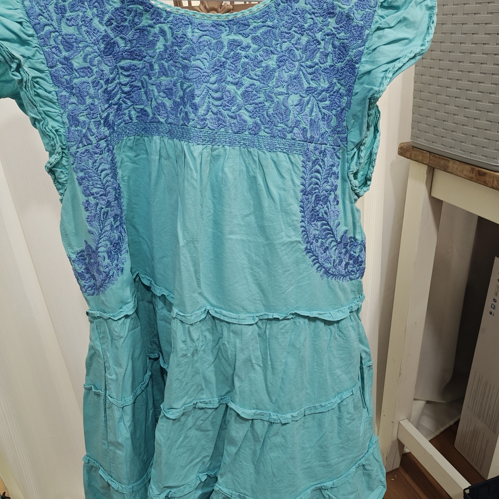 Charming Blue Dress with Embroidered Details